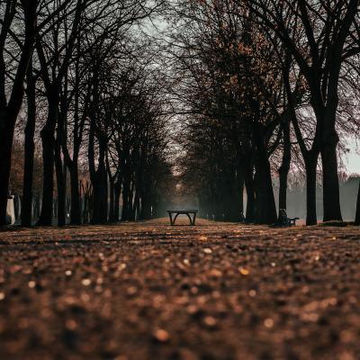 Entre deux mondes