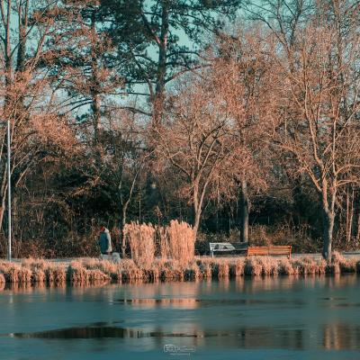 Promenade hivernale