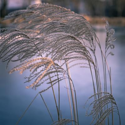 Douceur au fil de l'eau