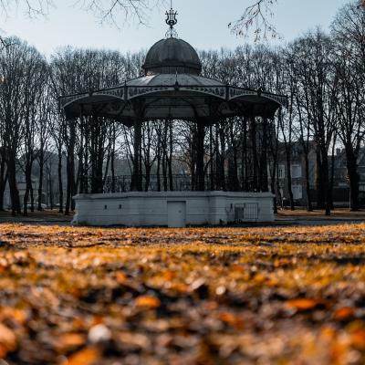 L'âme du parc