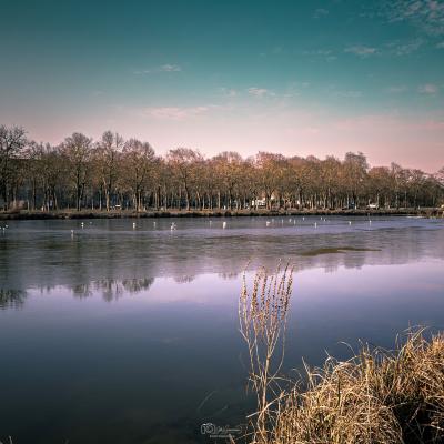 L'écho silencieux de l'eau