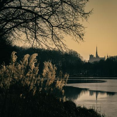 Notre Dame derrière la brume
