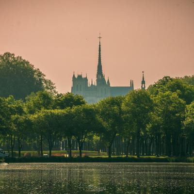 L'éveil de la Cathédrale