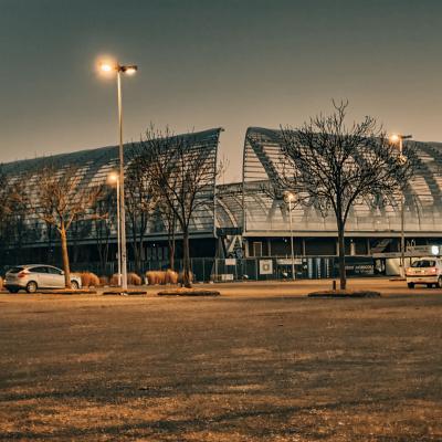 Stade de la Licorne