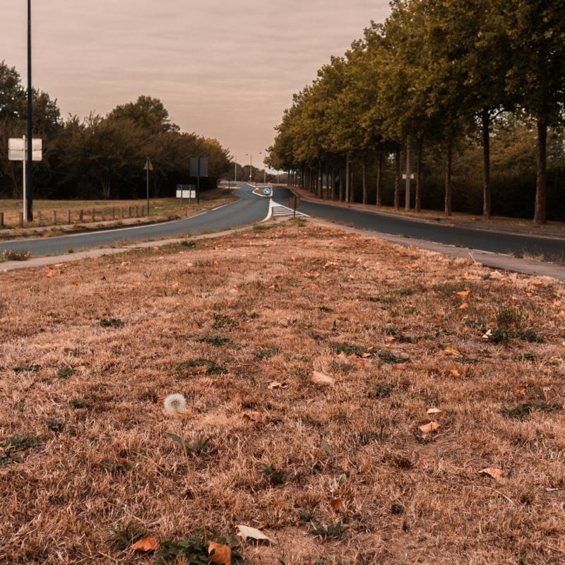 Avenue François Mitterand