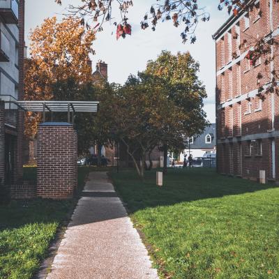 Rue du Docteur Franck