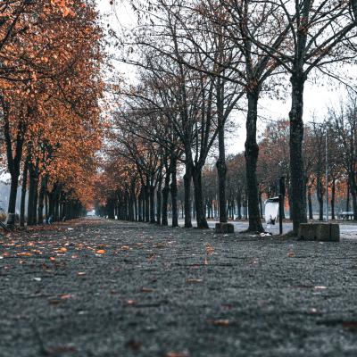 Promenade de la Hotoie