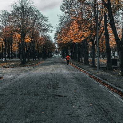 Allée du 51éme RI