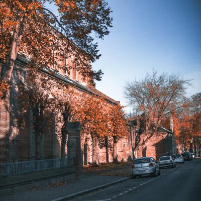 Rue Allou