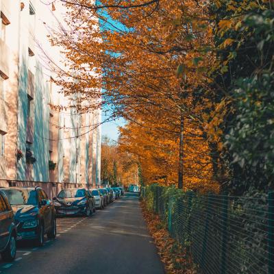Allée de la Cressonnière