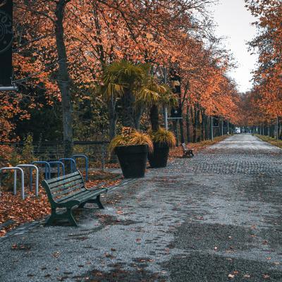 Quartier Saint-Roch / Saint-Jaques