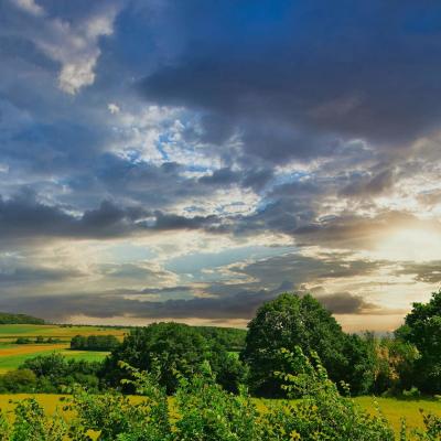 Campagne Samarienne