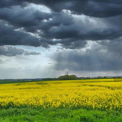 Campagne Samarienne