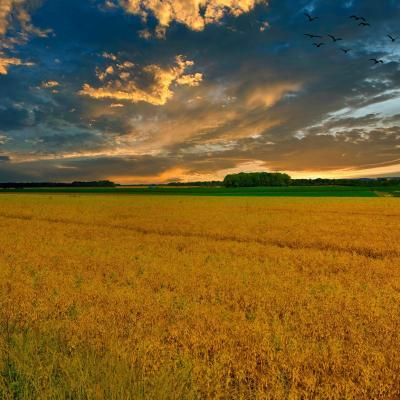 Paysage Samarien