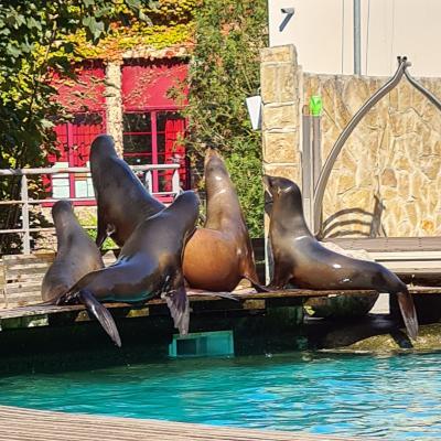 Le Zoo d'Amiens