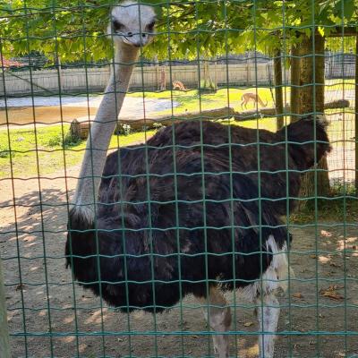 Le Zoo d'Amiens