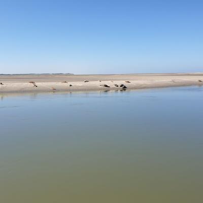 Berck-sur-Mer