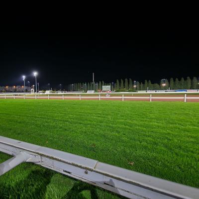L'hippodrome d'Amiens