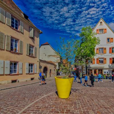 Colmar