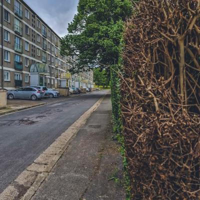 Rue d'Artois