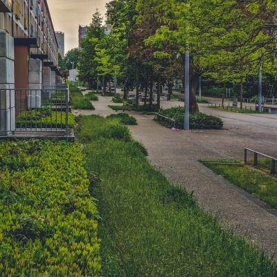 Avenue de Picardie