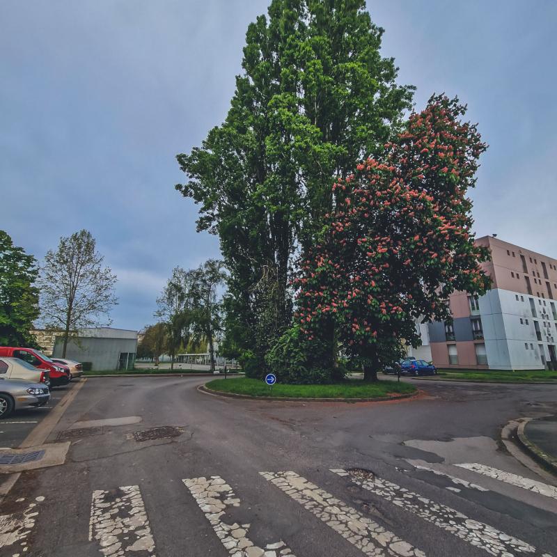 Rue de Flandre