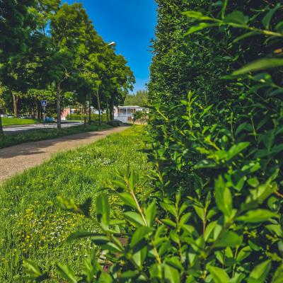 Avenue du Languedoc