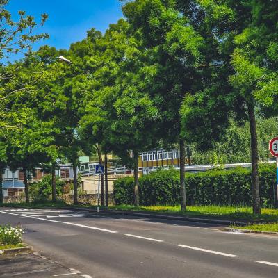 Avenue du Languedoc