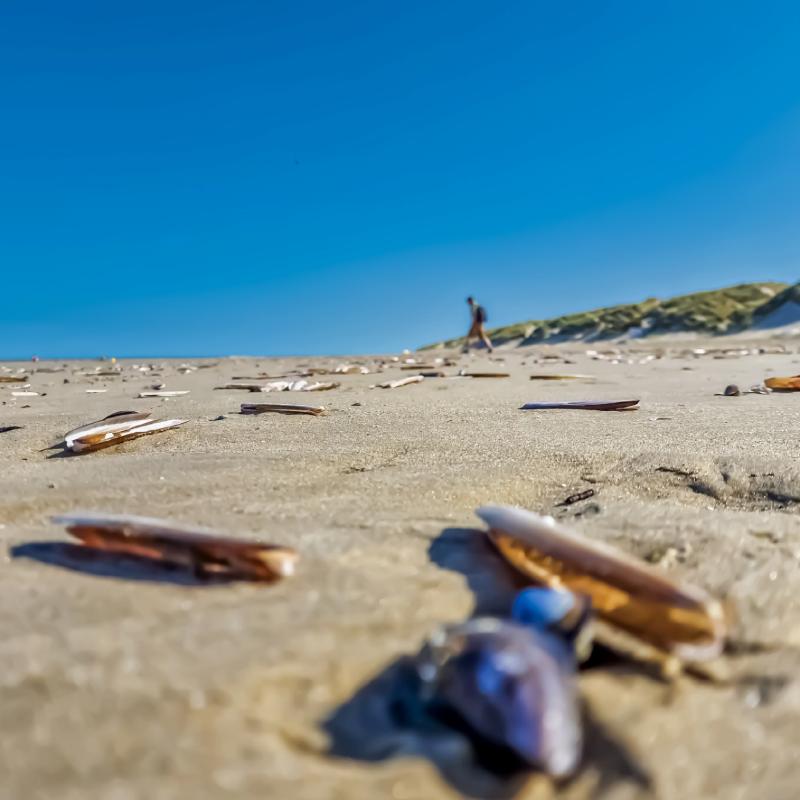 Fort-Mahon Plage