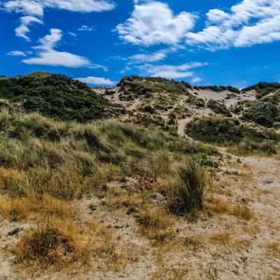 Fort-Mahon Plage