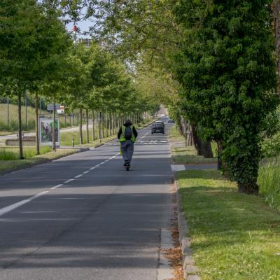  L'Avenue des Cygnes